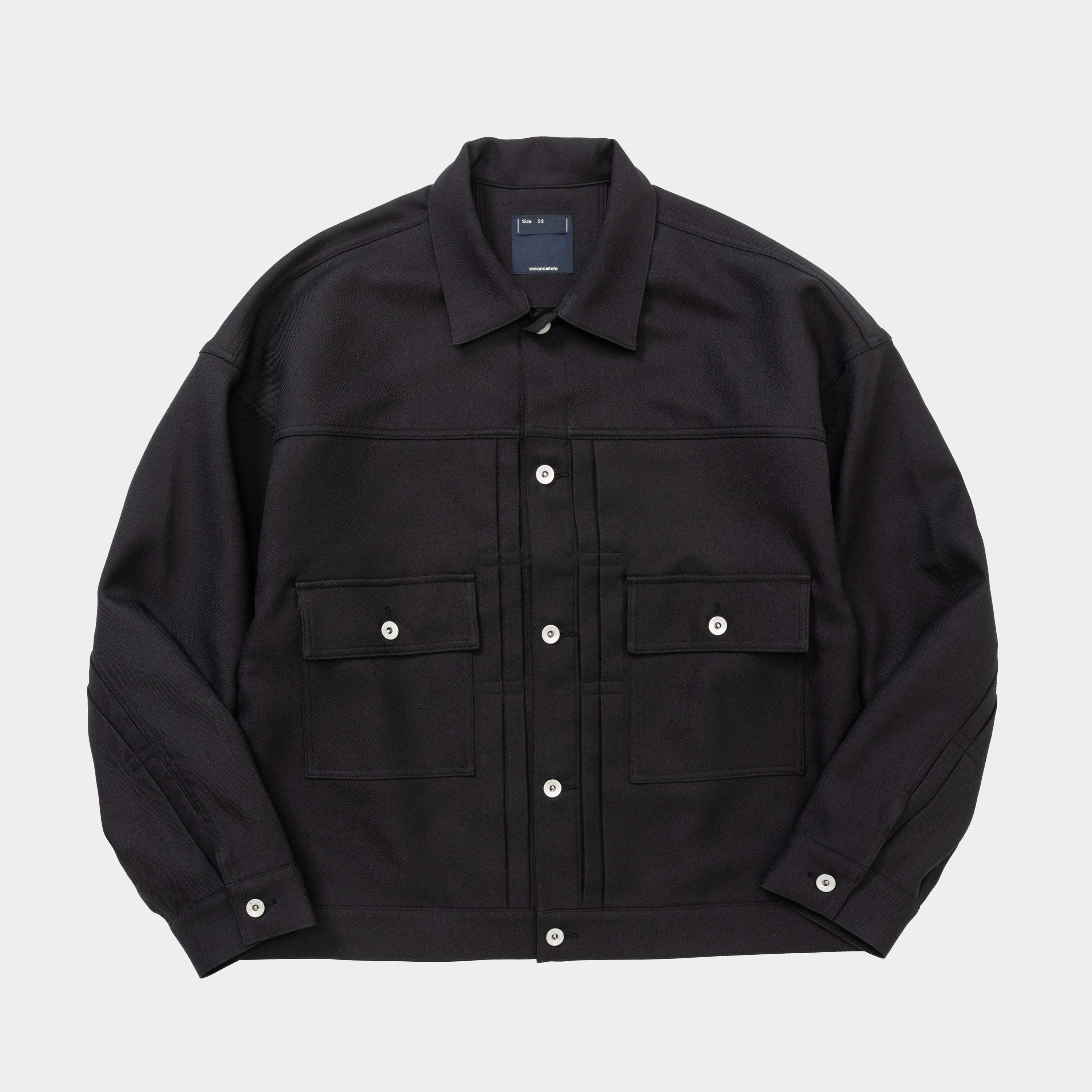 Pleated Sleeve Blouse/Black