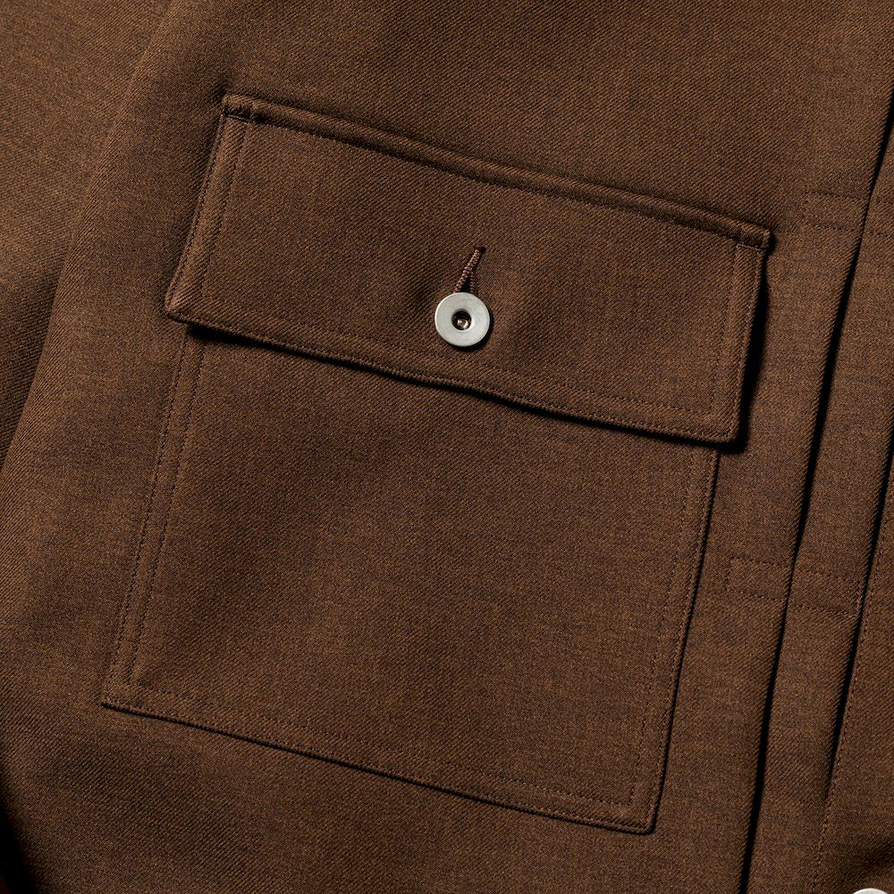 Pleated Sleeve Blouse/Brown