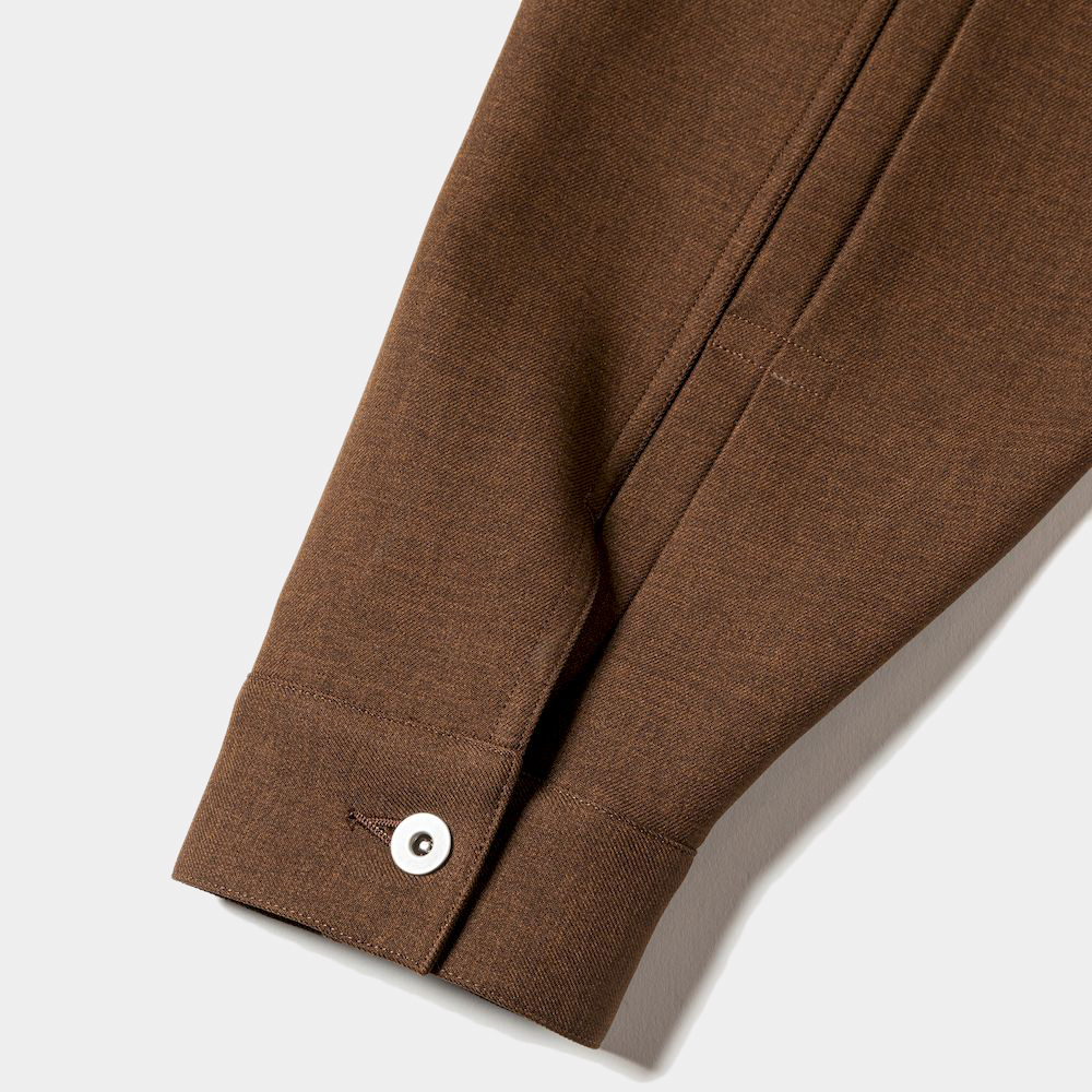 Pleated Sleeve Blouse/Brown